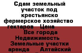 Сдам земельный участок под крестьянско-фермерское хозяйство 20 гектаров › Цена ­ 10 000 - Все города Недвижимость » Земельные участки аренда   . Алтайский край,Яровое г.